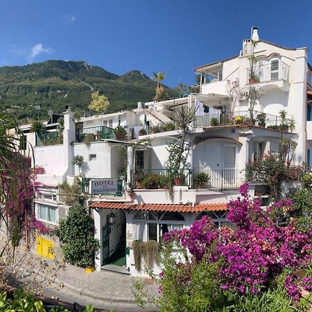 Hotel La Maggioressa Casamicciola Terme Kültér fotó