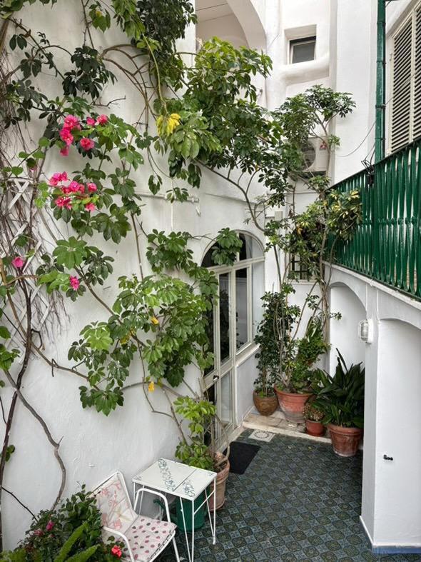 Hotel La Maggioressa Casamicciola Terme Kültér fotó